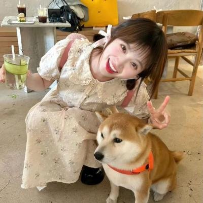 沙滩鼠